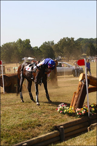 arnaud_boiteau-expo__699332.jpg