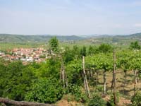 colli_veneti_(01)