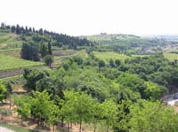 colli_veneti_(05)