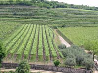 colli_veneti_(09)